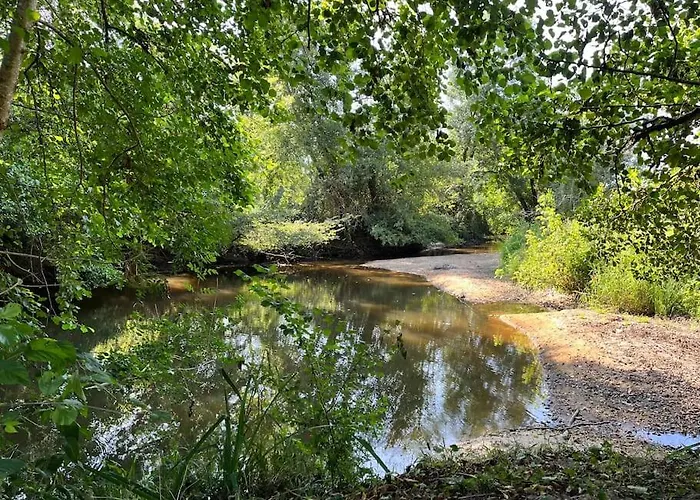 Le Moulin De Bafave Semesterbostad