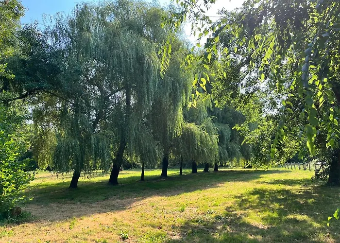 Semesterbostad Le Moulin De Bafave *